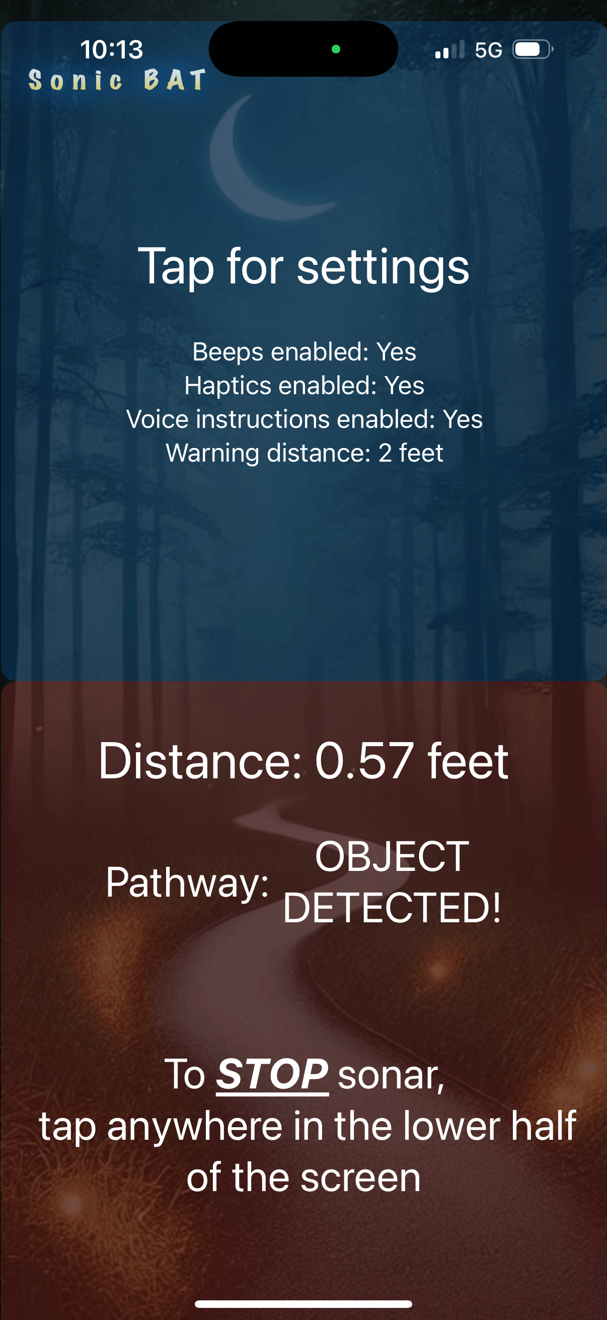 Mockup of Sonic Bat distance page