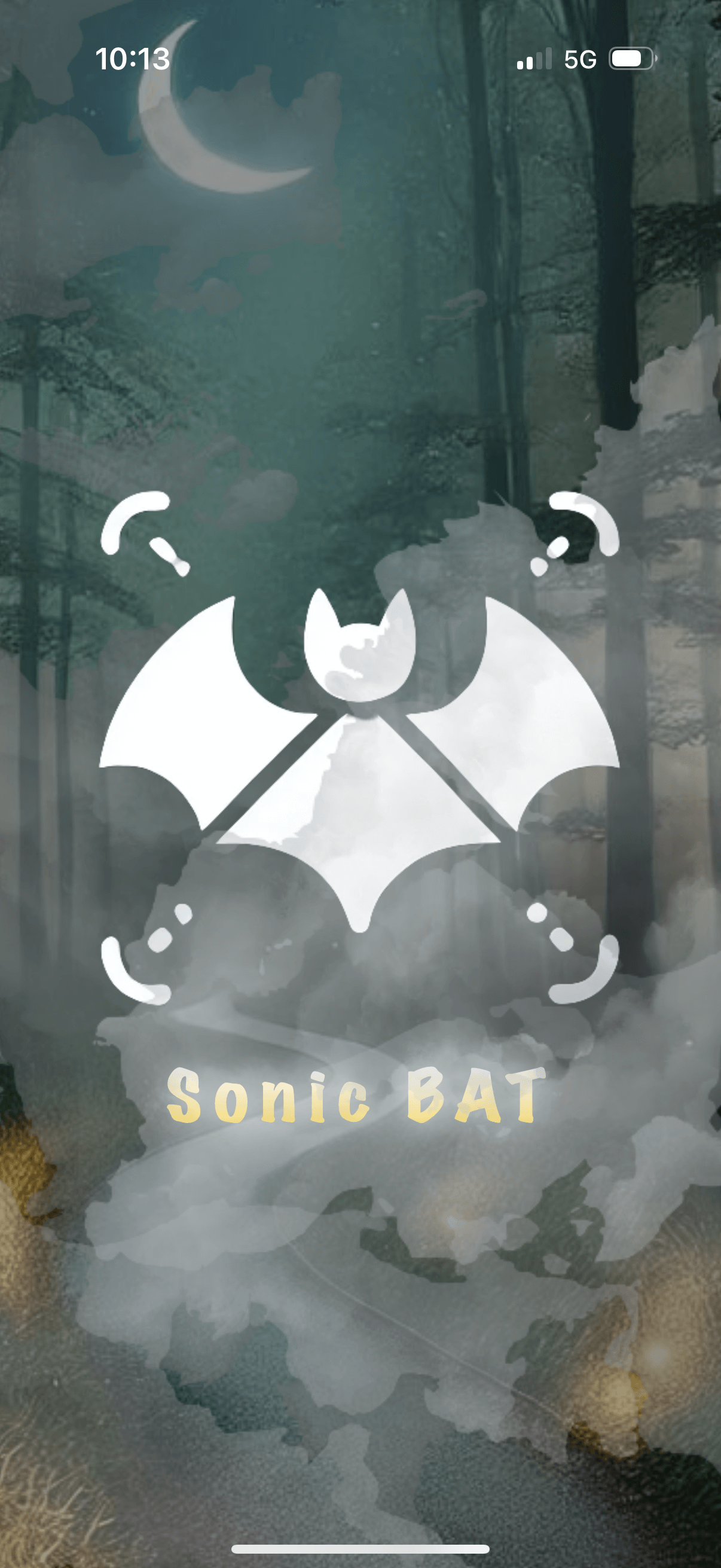 Mockup of Sonic Bat homepage
